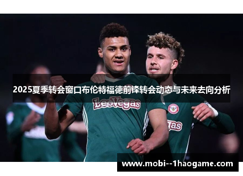 2025夏季转会窗口布伦特福德前锋转会动态与未来去向分析 2025夏季转会窗口布伦特福德前锋转会动态与未来去向分析