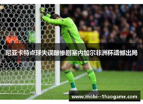 尼亚卡特点球失误酿惨剧塞内加尔非洲杯遗憾出局